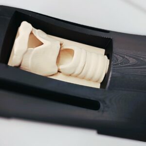 Model 3D do nauki konikotomii